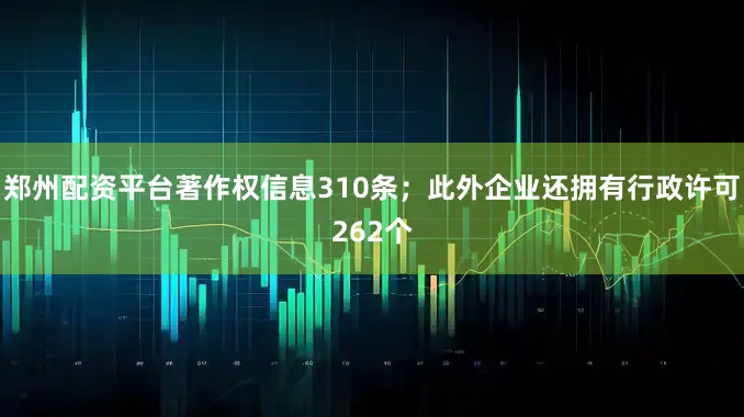 郑州配资平台著作权信息310条；此外企业还拥有行政许可262个