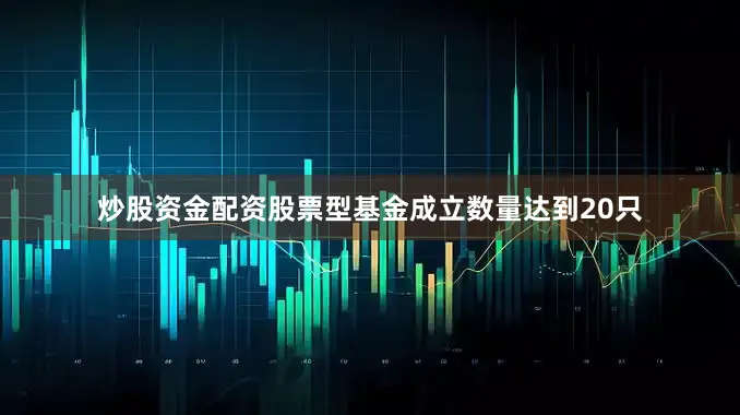 炒股资金配资股票型基金成立数量达到20只